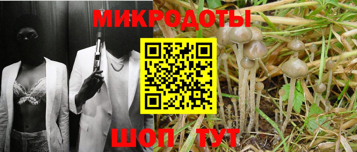 Галлюциногенные грибы мухоморы Печора