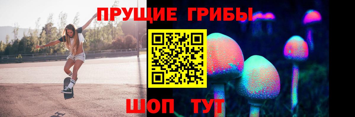 Псилоцибиновые грибы прущие грибы  Псилоцибиновые грибы Psilocybine cubensis  Печора  Вход с VPN 